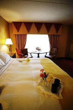 Hilton Downtown 4*
